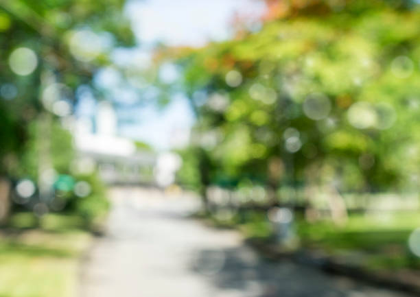 istock blur natural and light background in the park. 827080932