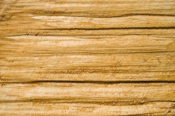 istock Roughly treated lacquered oak plank closeup 827099716