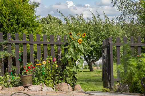 A path down to a backyard during a summer day.