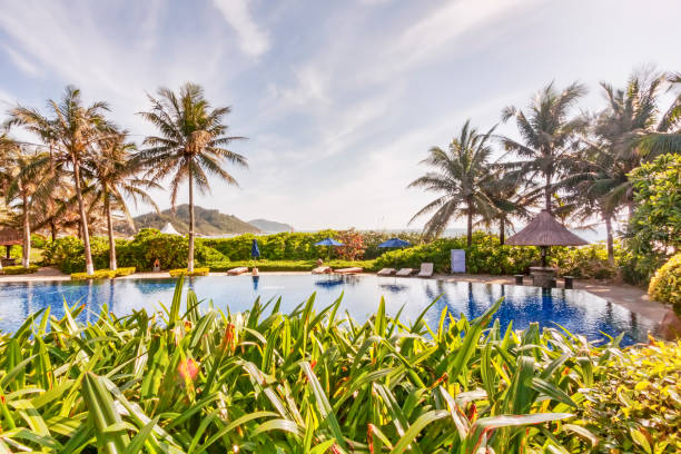 istock Tropical garden panorama with pool and sunshades 827103266