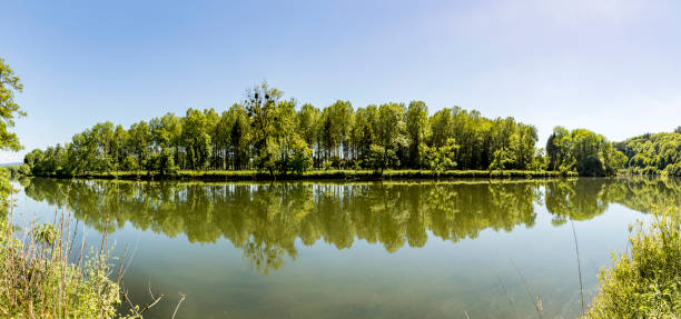 отражение на реке дубс во франции - doubs river стоковые фото и изображения