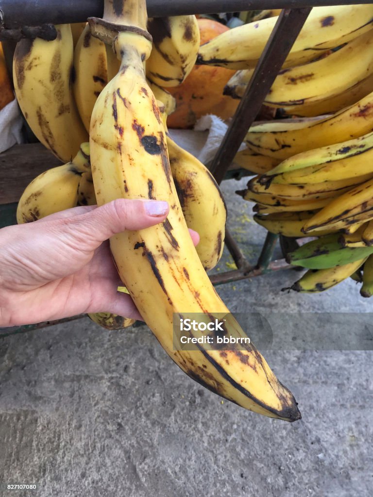 Convencional policía diferente a Hand Holding A Big Banana Stock Photo - Download Image Now - Adult, Adults  Only, Banana - iStock
