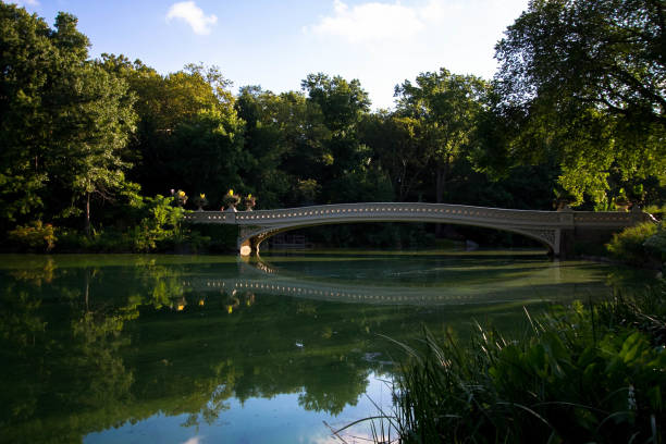 istock Bow bridge and trees reflect on water at Central Park 827110188
