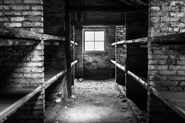 del cuartel dentro de sala de estar en el campo de concentración auschwitz birkenau kz polonia. - birkenau fotografías e imágenes de stock