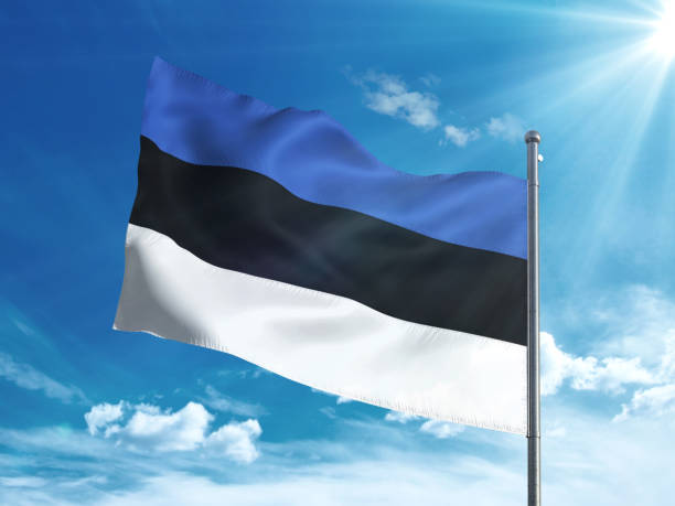 bandeira de estónia acenando no céu azul - estonia flag pennant baltic countries - fotografias e filmes do acervo