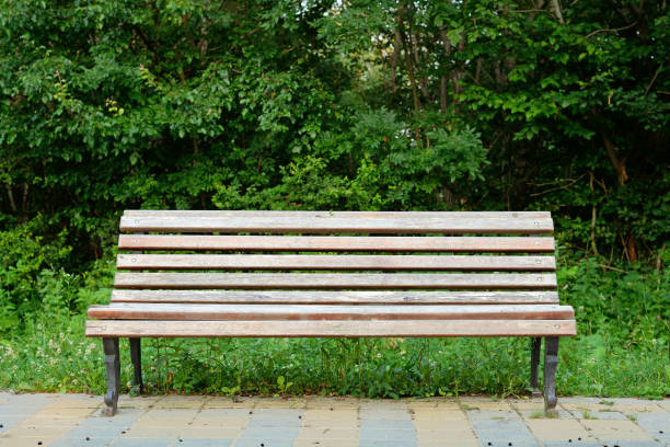 istock Old wooden bench in park 827119934