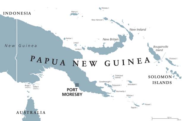 Papua New Guinea political map Papua New Guinea political map with capital Port Moresby. English labeling. Independent state on eastern half of island of New Guinea with islands in Melanesia. Gray illustration over white. Vector. new britain island stock illustrations
