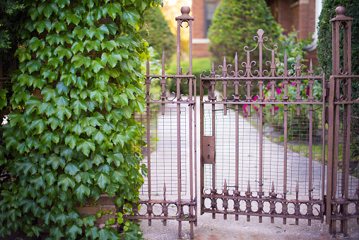 Lovely gate with ivy, inviting visitors into an estate on a sunny day.