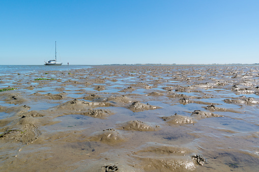 Panorama of mud flat with casts of lugworm and dried out sailboat at low tide on Waddensea, Netherlands