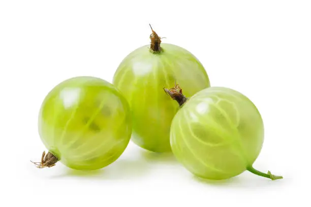 Gooseberry isolated on white background with clipping path for design artwork