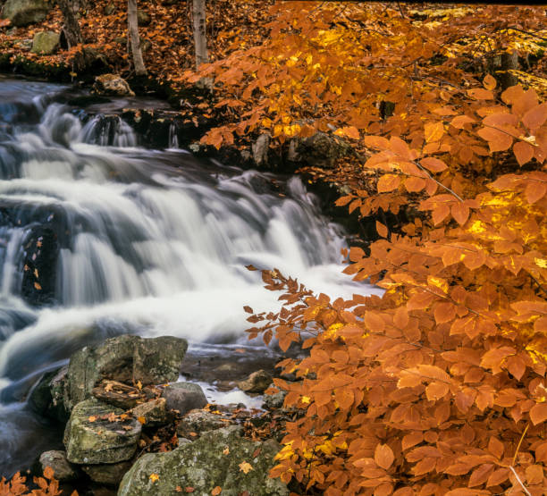 istock Harriman State Park, New York State 827148448