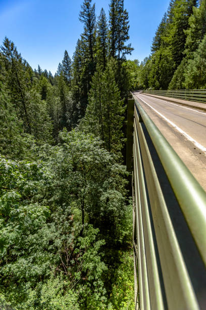 istock Iron bridge in Washington near Mount Rainier 827154722