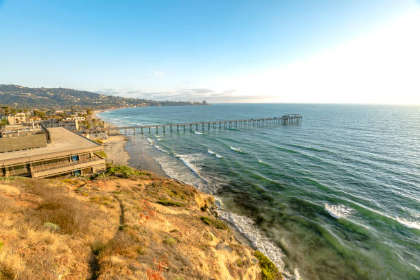 istock Palm trees and Pier on Scripps Beach at sunset in California 827158392