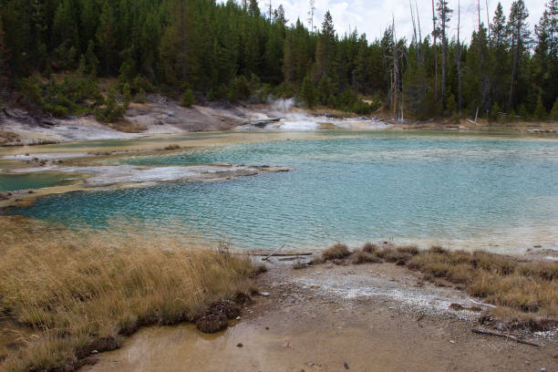 istock Porcelain Basin Yellowstone 827158632