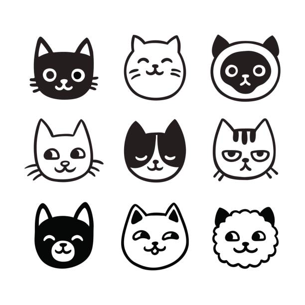 ilustraciones, imágenes clip art, dibujos animados e iconos de stock de lindo gato garabato conjunto - cabeza de animal