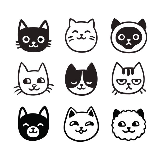 ilustrações, clipart, desenhos animados e ícones de gato bonito conjunto de doodle - cabeça de animal