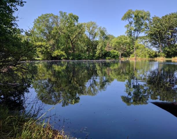 istock Nature's Beauty in Wisconsin 827164250