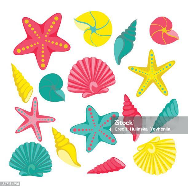 Seashells Set Design For Holiday Greeting Card And Invitation Of Seasonal Summer Holidays Summer Beach Parties Tourism And Travel Stock Illustration - Download Image Now