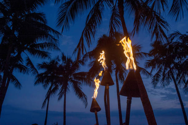 illuminazione della torcia a waikiki al crepuscolo - maui beach palm tree island foto e immagini stock