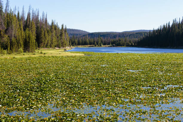 istock Colorado Rocky Mountain Scenic Beauty 827170334