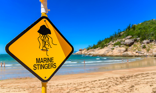 A sign on the beach to warn swimers in Queensland Australia of marine stingers in the water