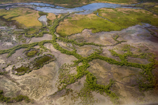 istock Aerial view of river systems in the Top End, NT, Australia 827176380