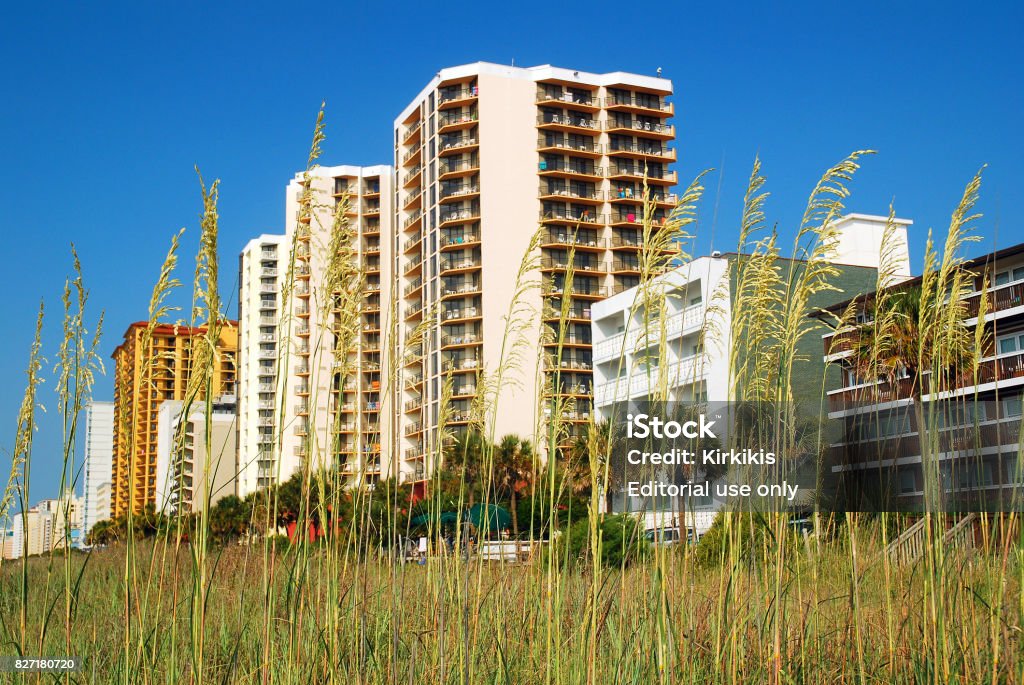 Shoreline Apartment