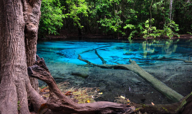istock Emerald blue pool in Krabi province, Thailand 827188146