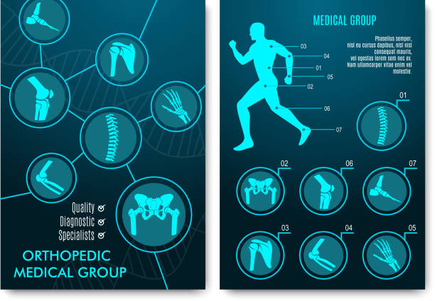 медицинская инфографика с ортопедическими диаграммами анатомии - human skeleton people human spine human bone stock illustrations