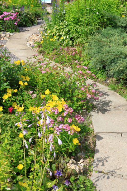istock A walkway in the garden 827200870