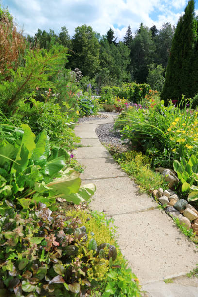 istock A winding path in the garden 827200874