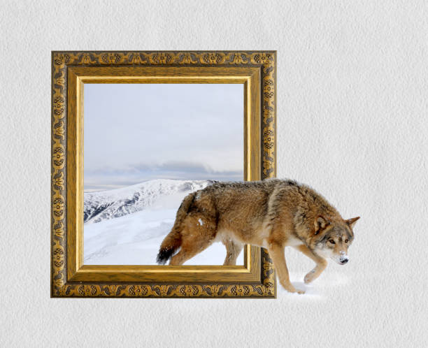 24,600+ Wolves Art Stock Photos, Pictures & Royalty-Free Images - iStock