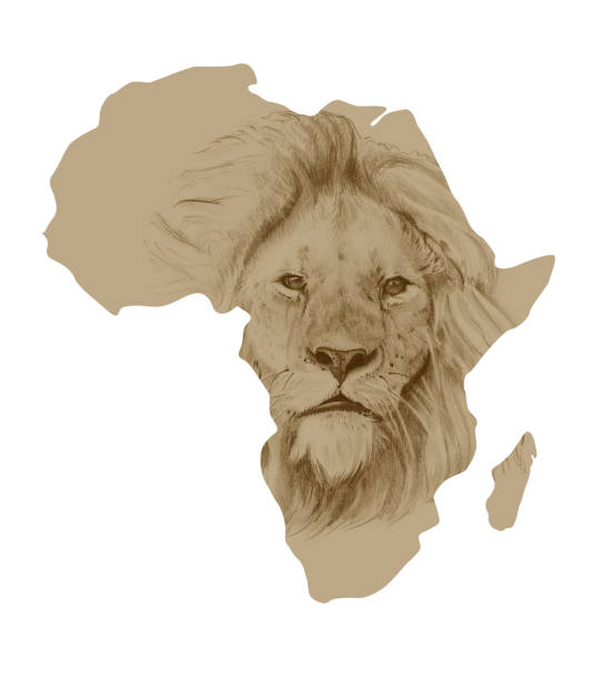 istock Map of Africa with drawn lion 827201246
