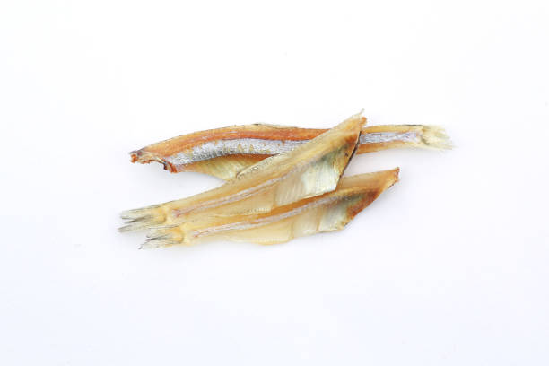 istock Macro image of Small dried fish isolated on white background. 827204750
