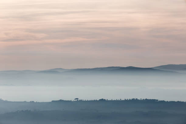 istock Trees, hills and fog 827205036