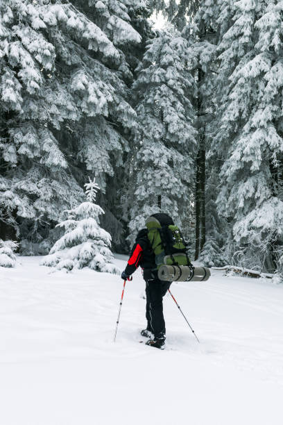istock Tourist in winter forest. 827205680