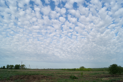 Small clouds are evenly distributed throughout the sky over the steppe