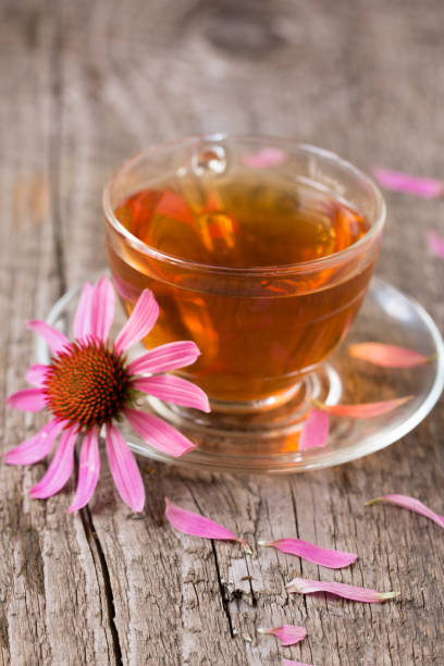 istock Cup of echinacea tea on old wooden table 827230706