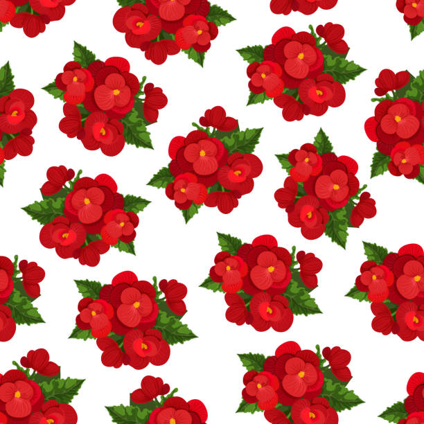 illustrazioni stock, clip art, cartoni animati e icone di tendenza di fiore rosso con motivo floreale a foglia senza cuciture - begonia