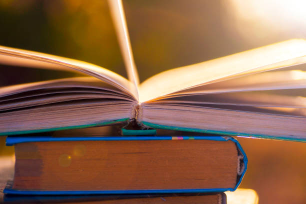 istock Open book on wooden table on natural background. Soft focus 827230832