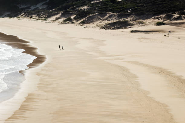 Two people walking on a quiet beach in Plettenberg bay, South Africa. This image can be used to represent South African travel.