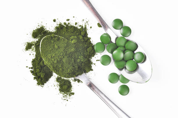 istock Young barley and chlorella spirulina 827238914