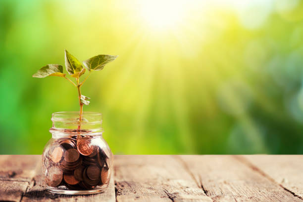 istock Green plant growing in a jar with savings Coins 827239024