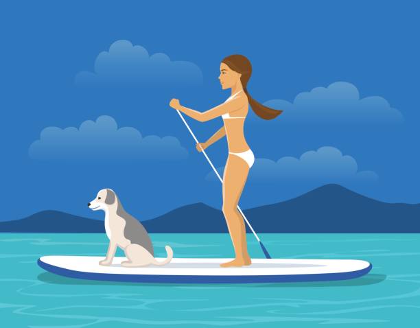 frau stand up paddling mit ihrem hund - lifestyle sports and fitness travel locations water stock-grafiken, -clipart, -cartoons und -symbole