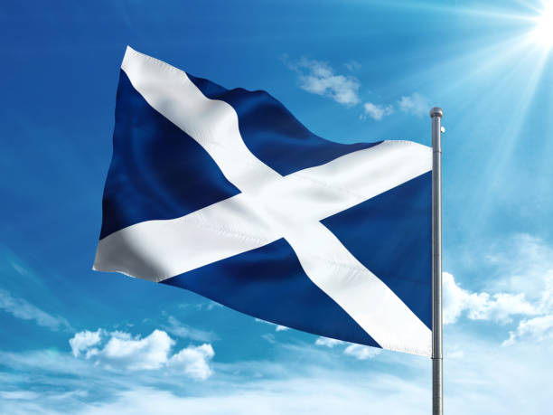 istock Tenerife flag waving in the blue sky 827242334