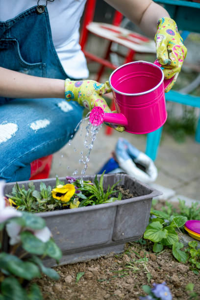 istock Young woman gardening 827242722