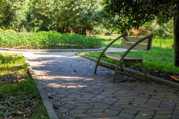istock The bench in the botanical garden Georgia 827247766