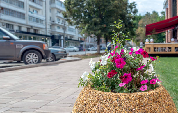 istock Flower beds in the city 827249668
