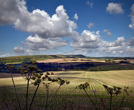 Classic late summer landscape of the english countryside and South Downs of East Sussex looking towards Firle