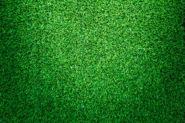 istock Artificial green grass texture for golf course. soccer field or sports background concept design. 827266516